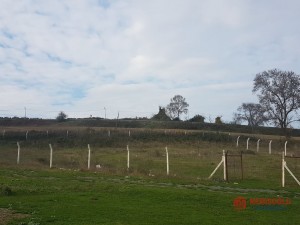 d9b9a6cf_80ef_437b_8aa0_1ce5b92932ea (1).jpg
